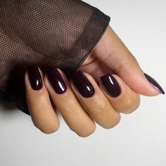 Sophisticated Dark Burgundy Almond-Shaped Nails for a Chic Statement.