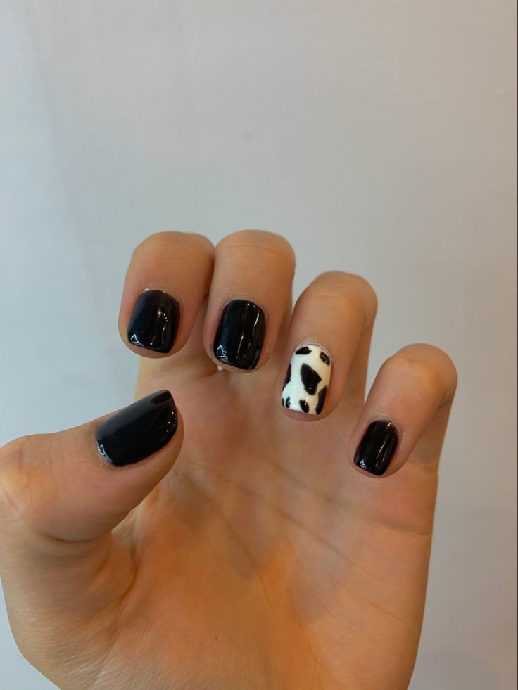 Chic Black Nail Design with Whimsical Cow Print Accent.