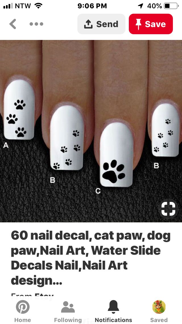 Whimsical Paw Print Nail Design for Animal Lovers: Cute Contrast of Black Decals on White Base