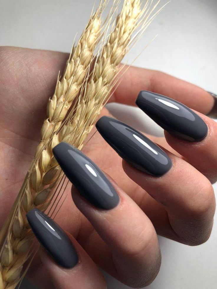 Chic Gray Almond-Shaped Nails: A Harmonious Blend of Elegance and Natural Beauty.