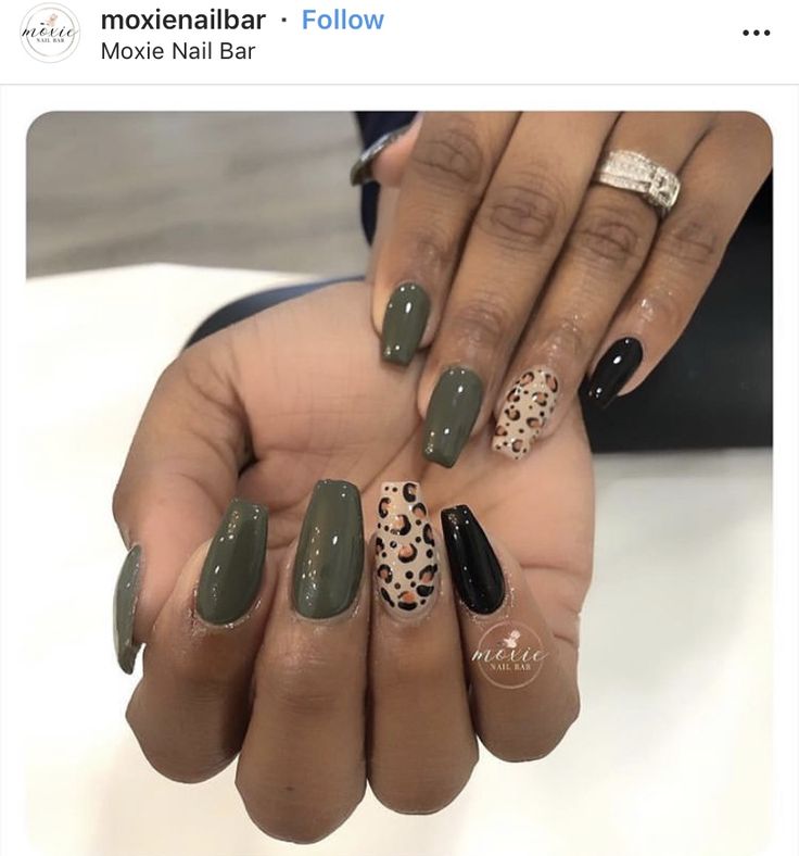 Bold and Sophisticated Nail Design: Deep Green and Black with Chic Leopard Print Accent.