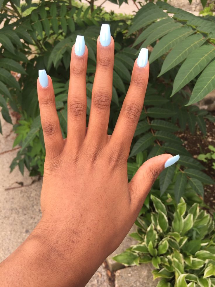 Modern Soft Blue Square Manicure Enhanced by Lush Greenery.