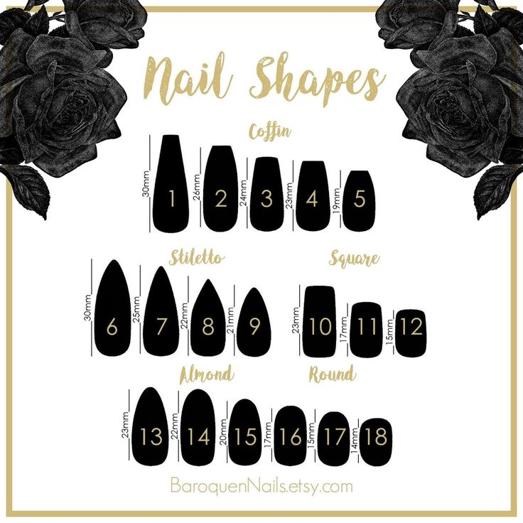 Showcasing Diverse Nail Shapes Elegantly Framed by Black Roses.