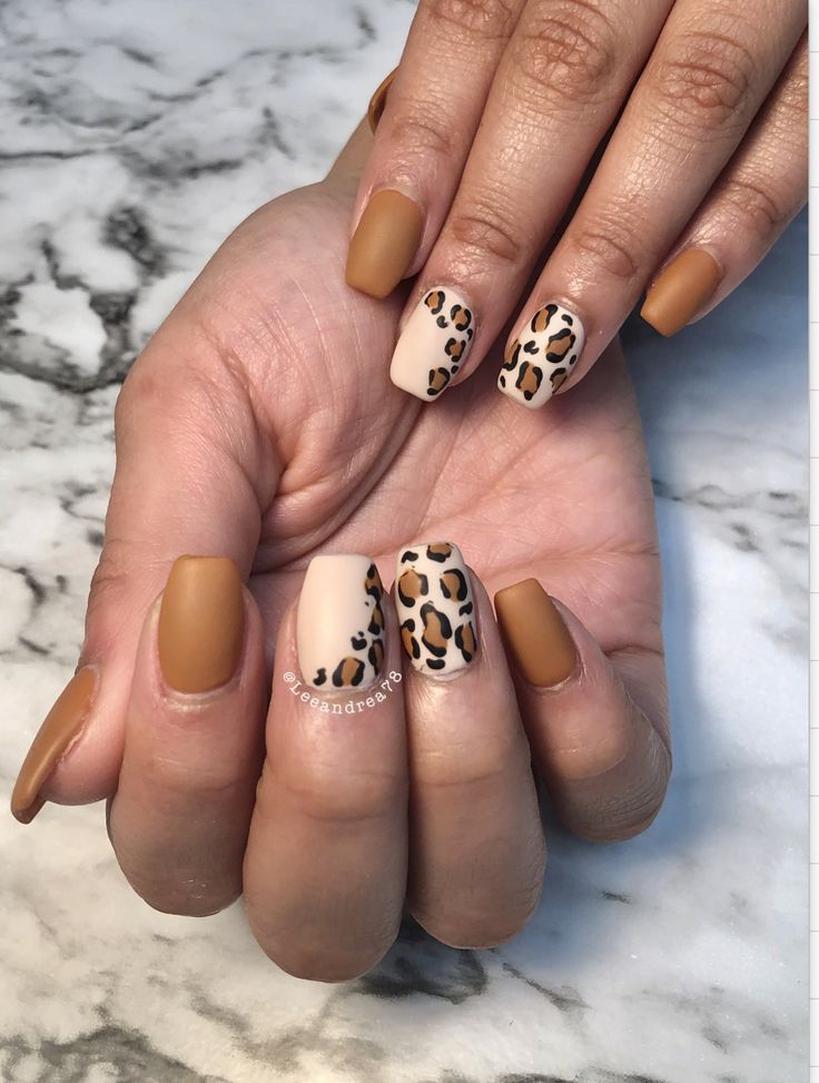 Trendy Nail Design: Bold Leopard Print with Matte and Glossy Finishes in Warm Brown Tones.