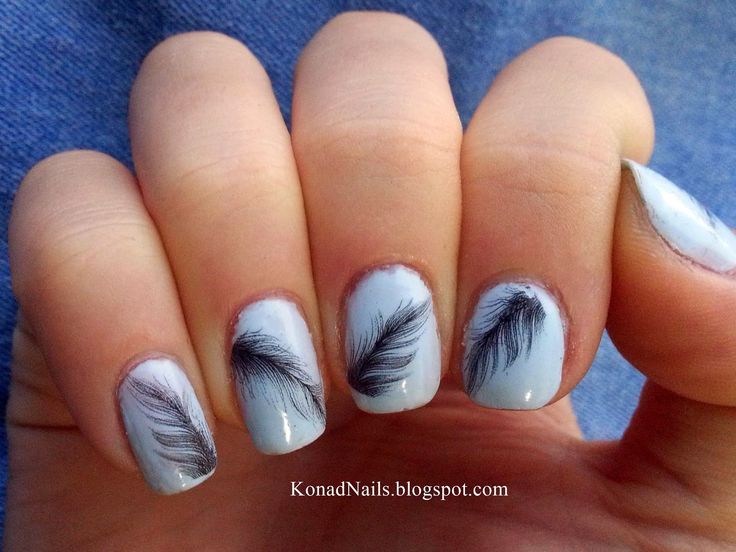 Charming Pastel Blue Nail Art with Elegant Black Feather Designs.