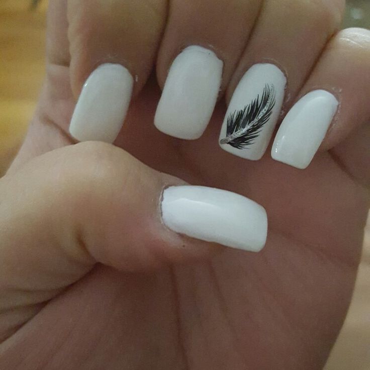 Sleek White Nail Design with Artistic Black Feather Accent for Chic Elegance.