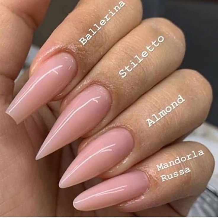 Sophisticated Nail Designs: Versatile Shapes in Soft Pink for Every Occasion