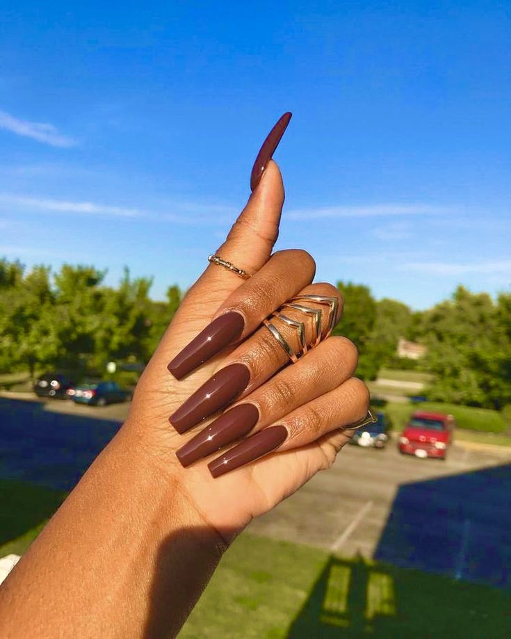 Elegant Almond-Shaped Dark Brown Nails Enhanced by Chic Rings in Sunlit Elegance.