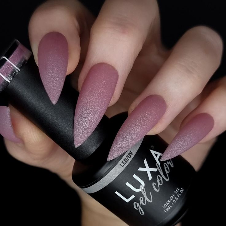 Sophisticated Matte Mauve Stiletto Nails for Trendy Nail Enthusiasts.