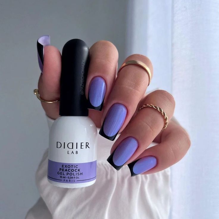 Chic Lavender Ombre Nails with Black French Tips and Gold Accents.