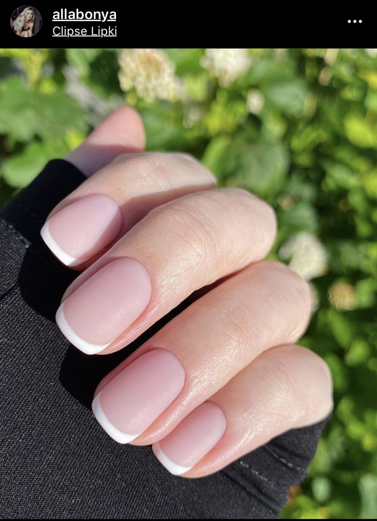 Timeless Sophistication: Elegant Soft Pink Base with Classic White French Tips Manicure.