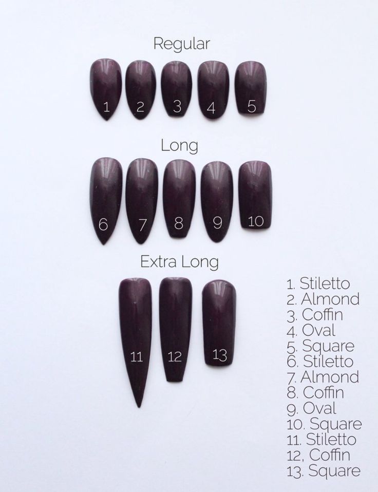 Diverse Nail Design Collection Featuring Various Shapes and Lengths for Art Inspiration.