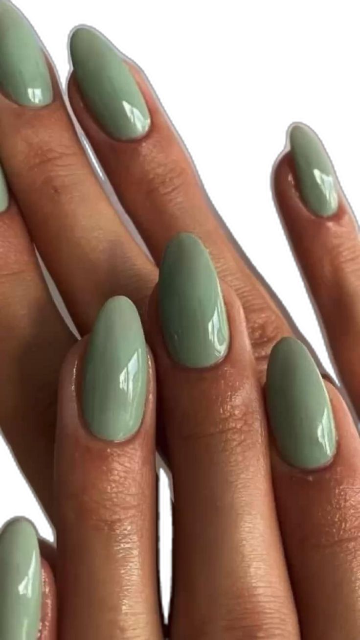 Chic Mint Green Oval Nails: A Stylish and Sophisticated Fresh Look.