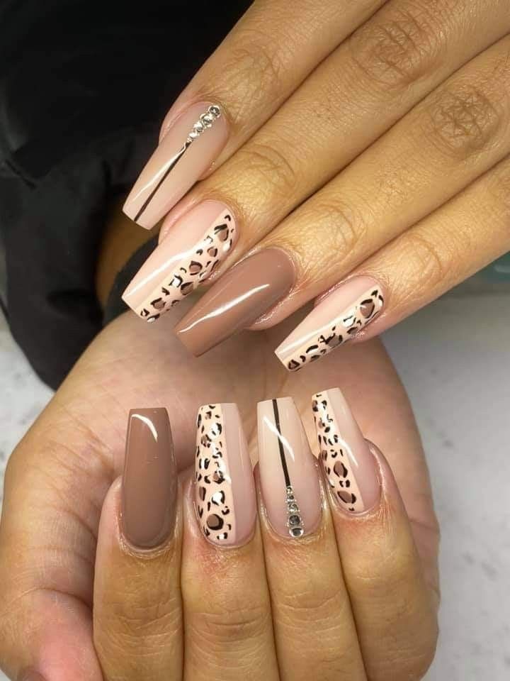 Chic Animal Print Nail Design: A Fusion of Neutral Tones and Bold Elegance.