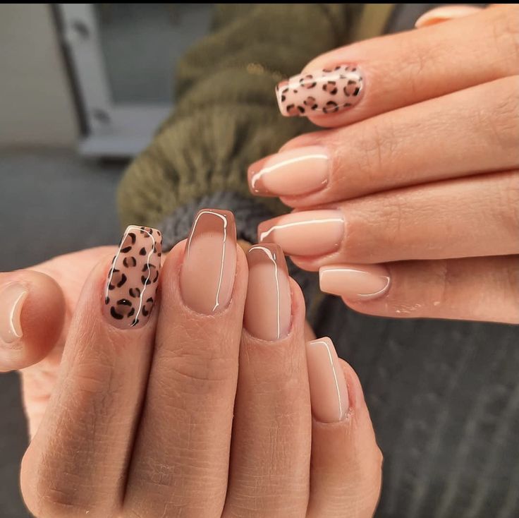 Chic Nude Leopard Print Nails: A Stylish Blend of Matte and Glossy Finishes.