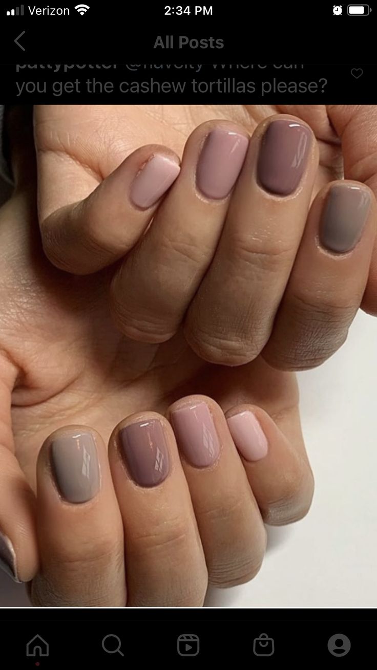 Sophisticated Nail Design: Harmonious Blend of Muted Pinks and Taupes