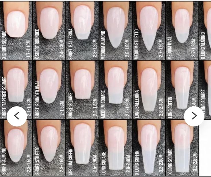 Elegant Nail Shapes in Varied Lengths and Styles Organized in a Subtle Palette.