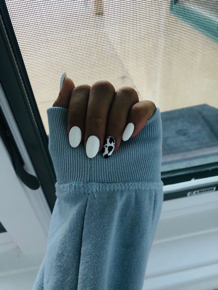 Chic Glossy White Nails Enhanced with Whimsical Black and White Cow Print Accent.