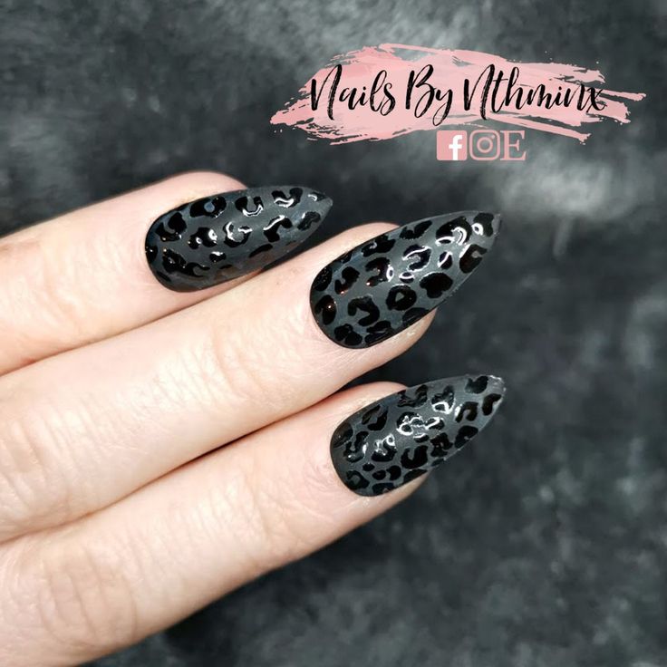 Chic and Edgy Leopard Print Nail Design on Glossy Black Base.