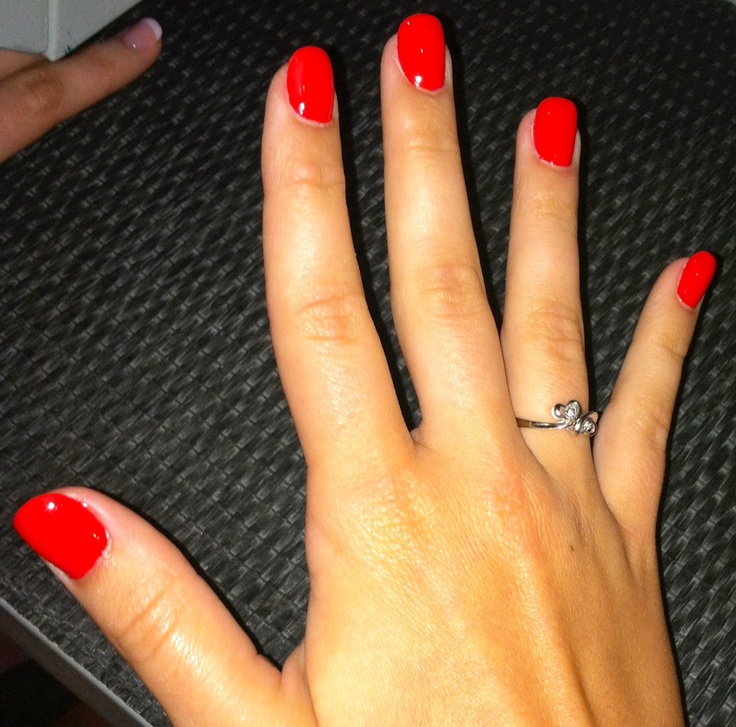 Elegant Bold Red Manicure: Glossy Finish and Neatly Shaped Nails for a Stylish Look.