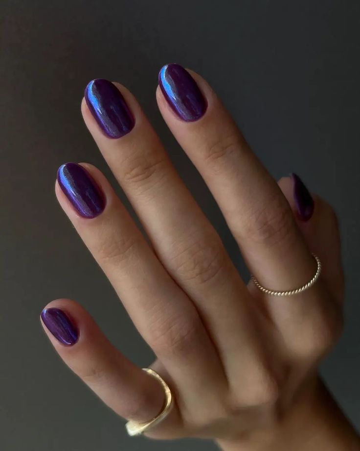 Elegant Glossy Purple Nails with Shimmering Depth and Sophisticated Accents.