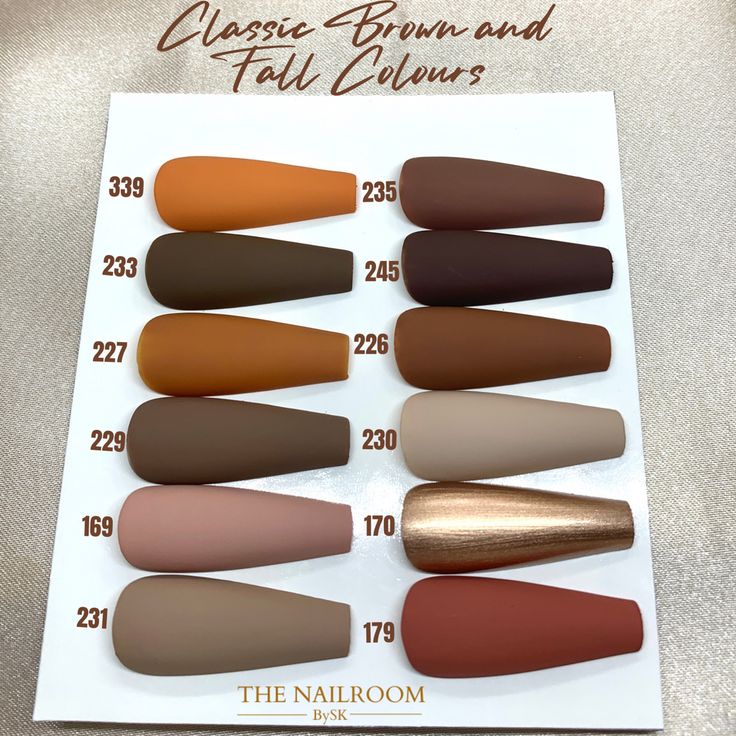 Autumn-Inspired Nail Color Palette: Cozy Brown and Earthy Hues with Modern Matte Finishes.