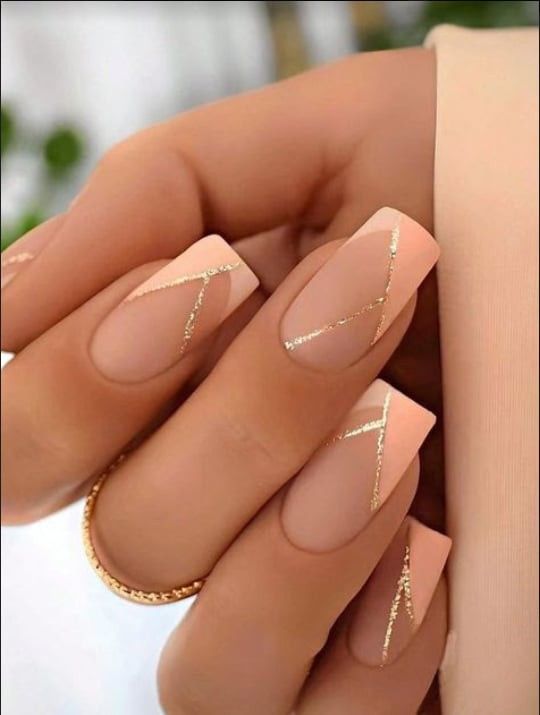 Chic Elegant Nude Nails: Soft Pink Tones with Delicate Gold Lines and Modern Geometric Accents