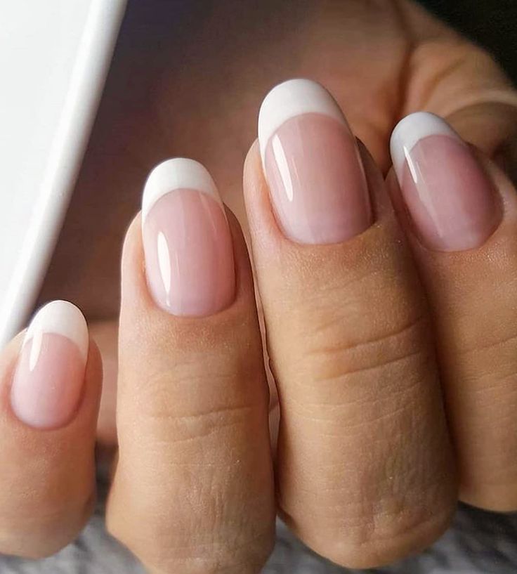 Classic Modern French Manicure: Soft Pink and White with Rounded Tips