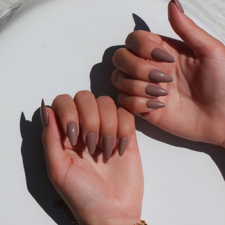 Chic Almond-Shaped Elegant Nude Nail Design for Any Occasion