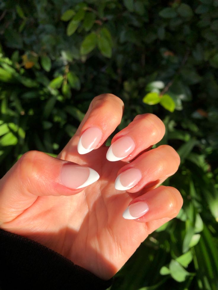 Sophisticated Sheer Pink and White French Tip Manicure: A Timeless Elegant Choice.