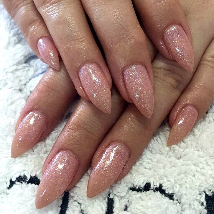 Elegant Nude Stiletto Nails with Subtle Shimmer for a Glamorous Look.