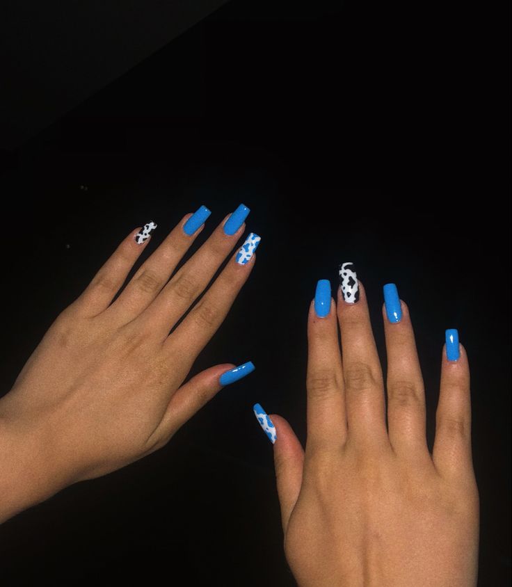 Playful Nail Design: Bold Blue Base with Whimsical Cow Print Accents.