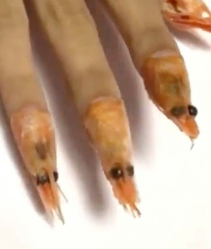 Whimsical Shrimp-Inspired Nail Art: Bold, Creative Designs with Intricate Detailing.