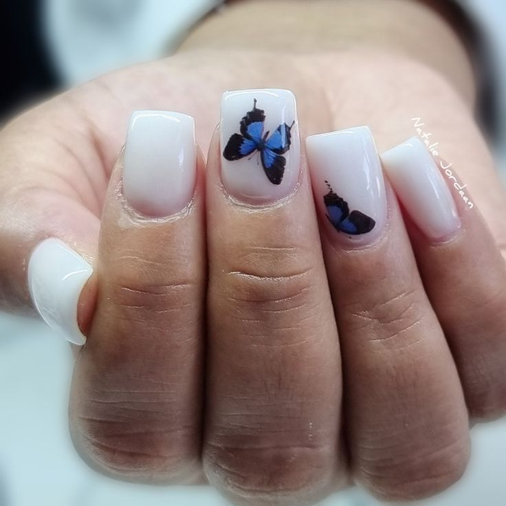 Chic Elegant Butterfly Nail Design with Blue and Black Motifs on Soft White Base