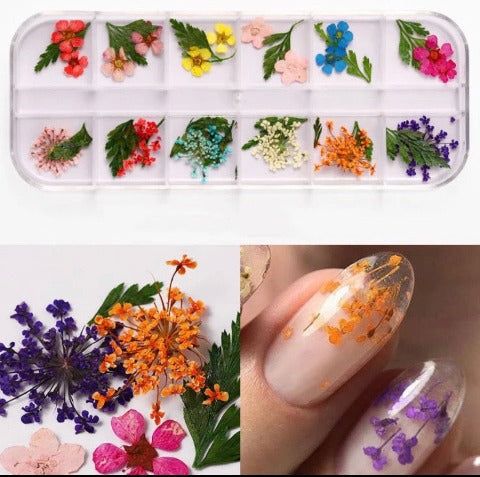 Vibrant Floral Nail Designs: Unique Manicure Ideas with Dried Flowers and Transparent Art.