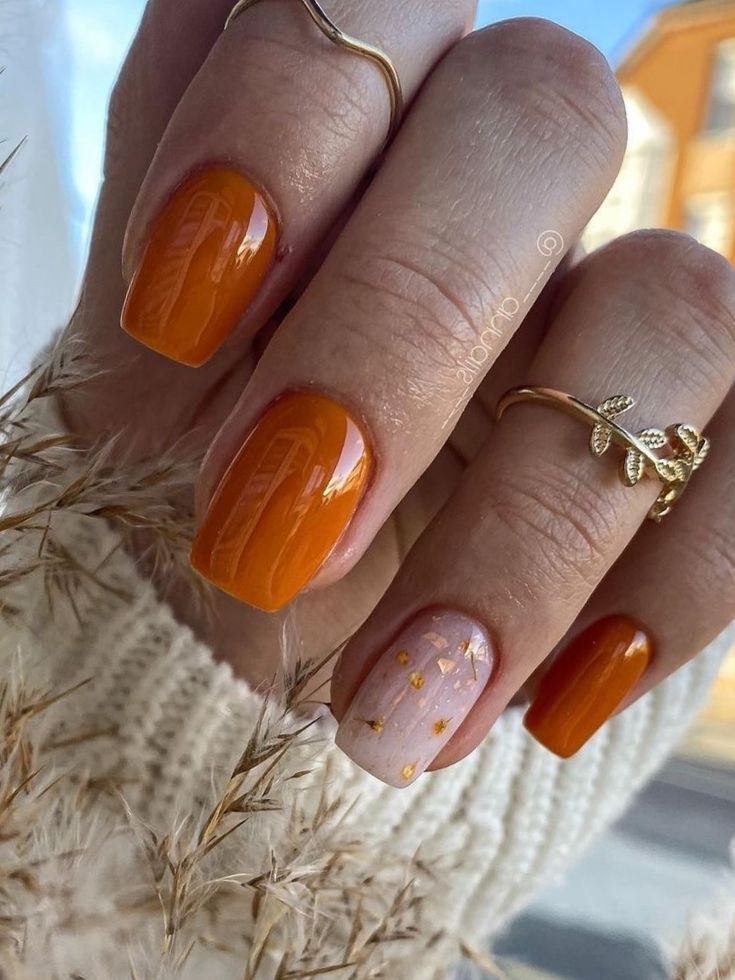 Cozy Autumn Nail Design: Warm Orange Hues with Glossy Finish and Subtle Gold Stars.