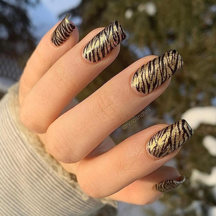 Bold Black and Gold Zebra Print Nail Design: Edgy Elegance with a Glossy Finish.