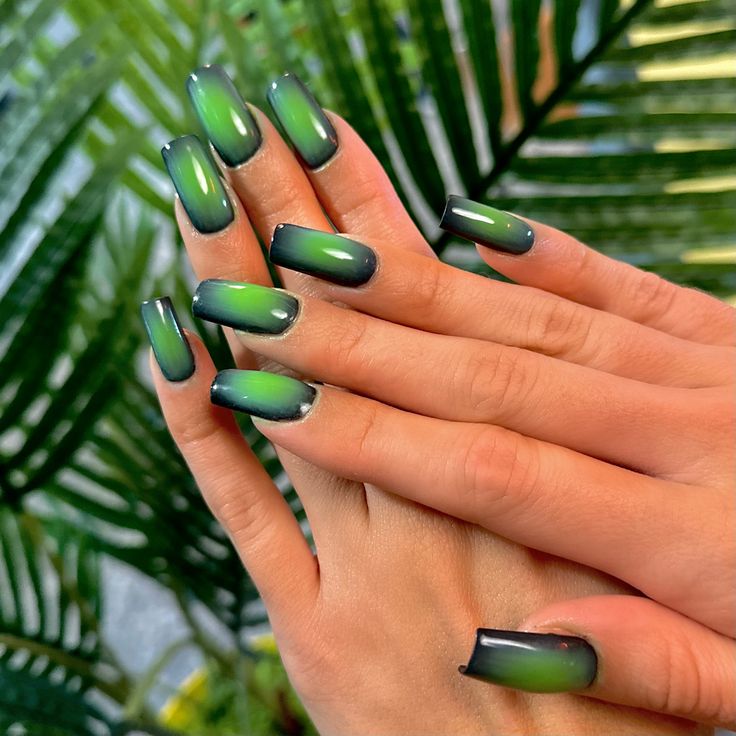 Bold Ombre Nail Design: Dark Gray to Vibrant Green with Glossy Finish for Sophisticated Elegance.