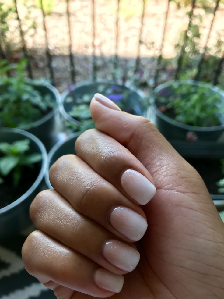 Elegant Nude Gradient Nails: A Sophisticated, Minimalist Look Amidst Nature.