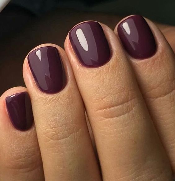 Elegant Dark Burgundy Nails: A Chic and Sophisticated Statement.