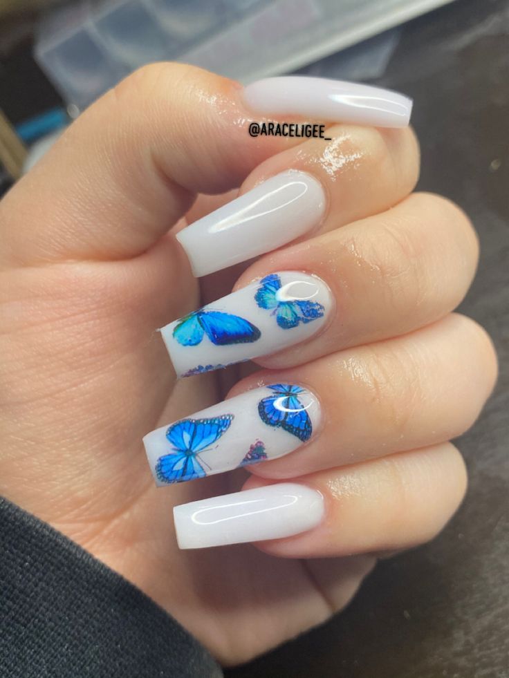 Elegant Long Square Nail Design with Exquisite Blue Butterfly Patterns on Glossy White Base.