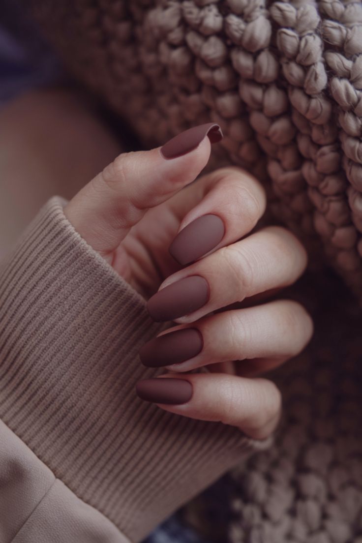 Chic Matte Brown Nail Design for Cozy Fall and Winter Elegance