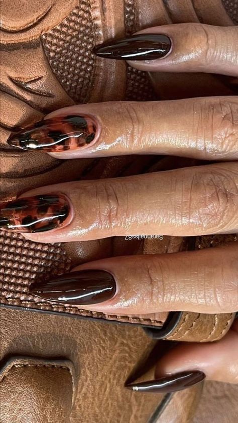 Bold and Elegant Nail Design with Glossy Deep Brown and Striking Animal Print