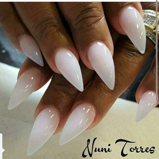 Elegant Stiletto Nails with Soft Ombre for Versatile Sophistication.