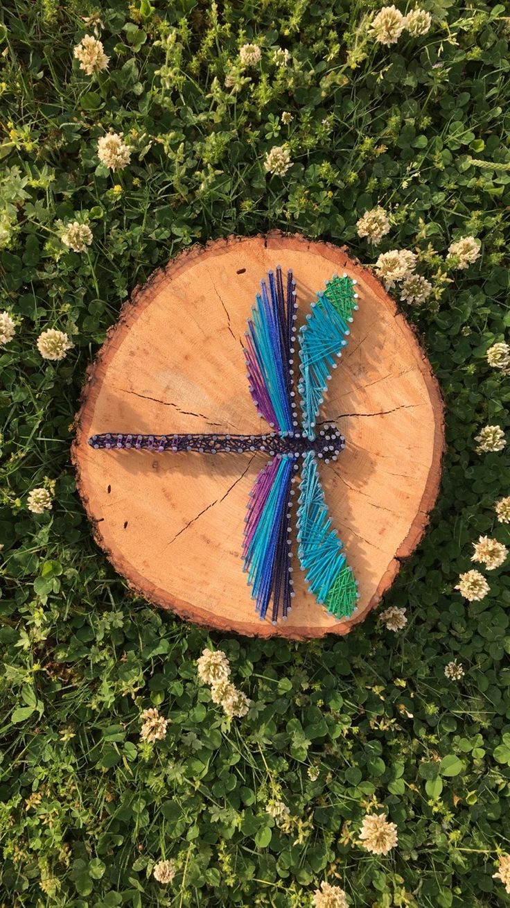 Whimsical Colorful Dragonfly Nail Art Inspired by Nature