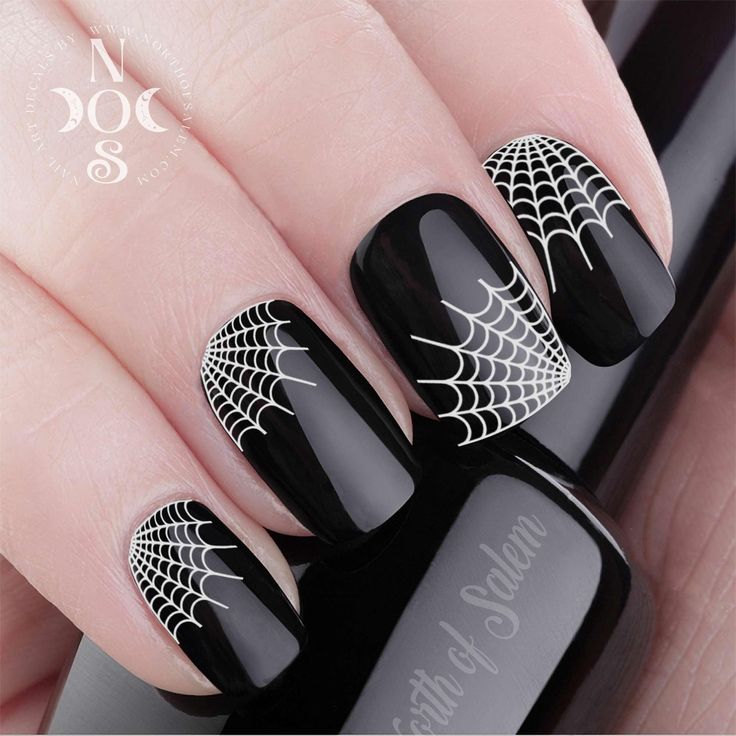 Striking Black Nail Design with Intricate White Spider Web Patterns for Bold Statements.