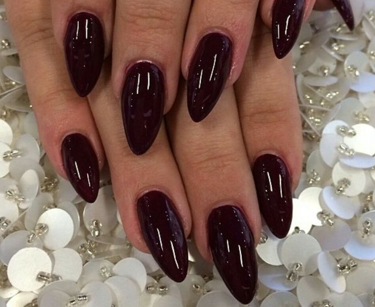 Elegant Deep Burgundy Stiletto Nails: A Bold Statement with Glossy Finish and Light Embellishments.