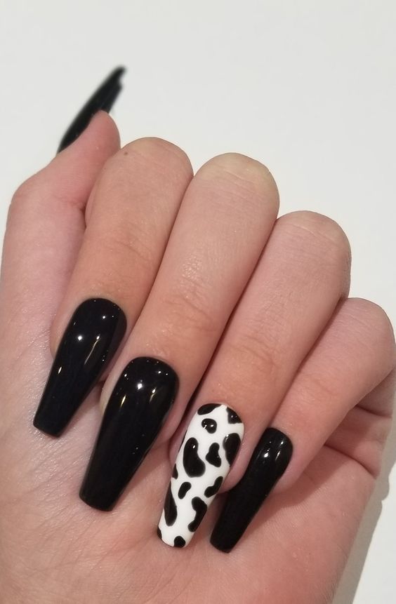 Sleek Black and Playful Cow Print Nail Design: Elegance Meets Whimsy.