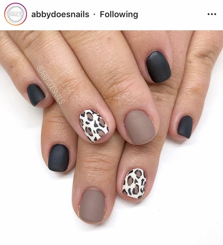 Chic Earthy Nail Design: Matte and Glossy Finishes with Playful Leopard Accent.