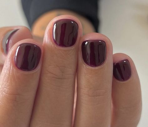 Sophisticated Glossy Dark Burgundy Nails: Chic Versatility for Every Occasion